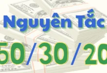 Nguyên tắc 50/30/20 là gì? Cách áp dụng quản lý thu nhập thực tế