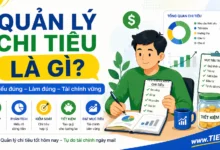 Quản lý chi tiêu là gì tien.day infographic