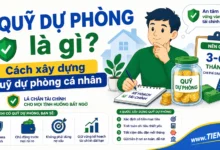 Quỹ dự phòng là gì? Cách xây dựng quỹ dự phòng cá nhân
