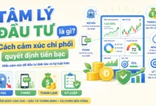 Tâm lý đầu tư là gì? Cách cảm xúc chi phối quyết định tiền bạc