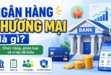 Minh họa ngân hàng thương mại với các chức năng nhận tiền gửi, cho vay, thanh toán và dịch vụ tài chính tại Việt Nam