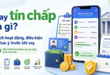 Minh họa vay tín chấp không cần tài sản bảo đảm với thu nhập, lịch sử tín dụng, lãi suất và hợp đồng vay