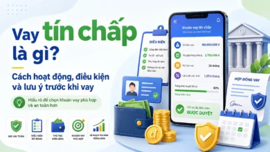 Minh họa vay tín chấp không cần tài sản bảo đảm với thu nhập, lịch sử tín dụng, lãi suất và hợp đồng vay